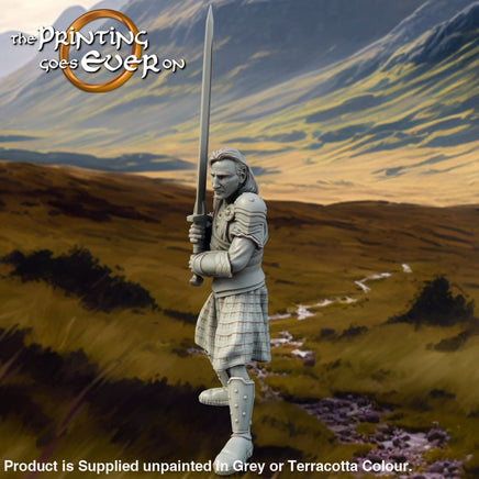 Allies and Fiefs - Clansman B Medieval