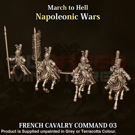 NWF Napoleonic French Cavalry Command 03 15mm Figure