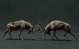 Animals & Wild Life