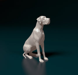 Domestic Animals