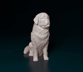 Figures - Dogs
