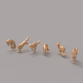ADM2051 Foxes x 6