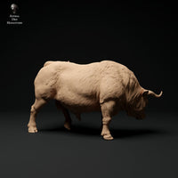 Adm1004 Red-Devon-Bull-Grazing Animal