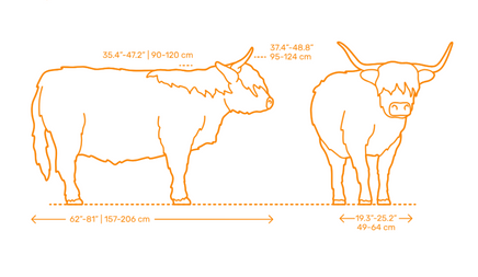 ADM1500 Highland Cow Standing x 1 Animal