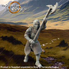 Allies and Fiefs - Axeman in Armour D Medieval