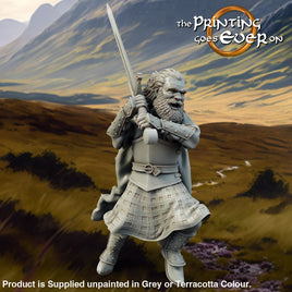 Allies and Fiefs - Clansman Chief Medieval