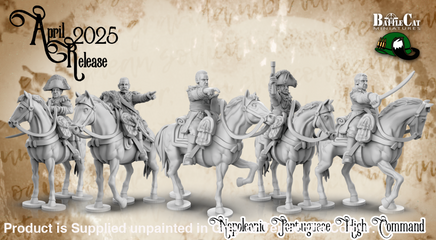 BCM018 Napoleonic Portuguese High command 28mm Figure