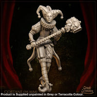 Cortane the Jester Medieval