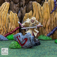 Count Giobaldo Assassin Miniature