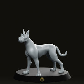 Danees Bare A Dog Miniature