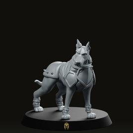 Dober Fighter A Pet Miniature