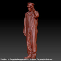 Young Loco Driver/station Staff Dsp010 Figure