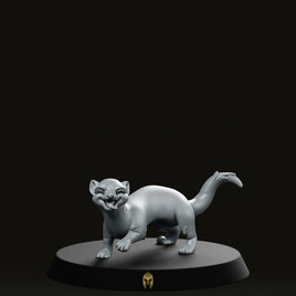 Farrat Bare B Pet Ferret Miniature