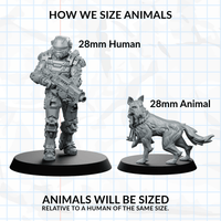 Ferret Farrat Thief B Pet Companion Miniature