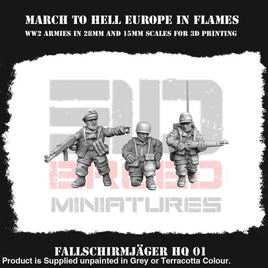 German Army (Fallschirmjäger) Hq 01 Figure