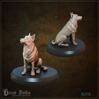 GG003 Dark Strays Medieval
