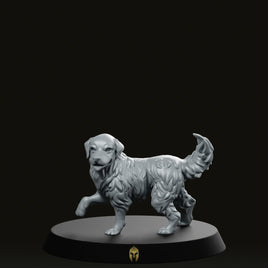 Gold Bare B Dog Pet Miniature