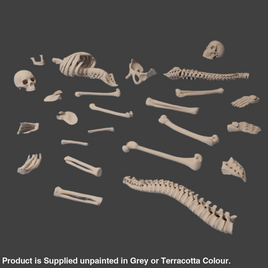 KOB - Basing Bits - Human Skeleton 1:56 Scale Medieval