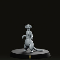 Merk Bare B Pet Mircat Miniature