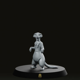Merk Bare B Pet Mircat Miniature