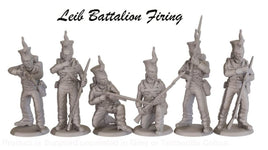 NSB010 Napoleonic Brunswick Lieb Battalion Firing Group Figure