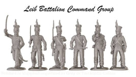 NSB012 Napoleonic Brunswick Lieb Battalion Command Group Figure