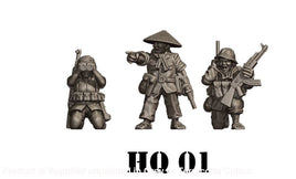 NTH Vietnam VIETCONG Command 01 Figure