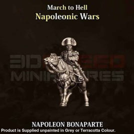 NWF Napoleonic French Napoleon Bonaparte 15mm Figure
