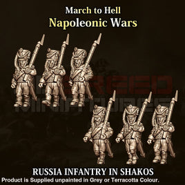 NWR Napoleonic Russian Infantry in Shako’s Figure