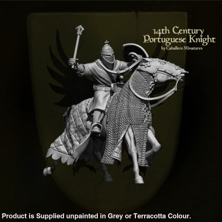 REM0022 14th Century Portuguese Knight Medieval