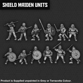 SM036 Viking Shield Maiden Units Figure