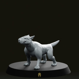 Terrix Bare B Dog Miniature