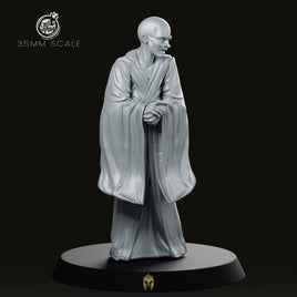 The Counsellor Fantasy Miniature